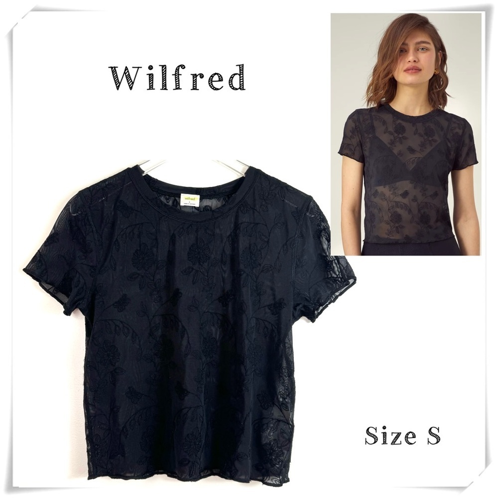 Aritzia Wilfred Madden Floral Sheer Mesh Lace T-Shirt Top In Black Size S